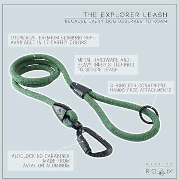 MADE TO ROAM Premium Explorer Leash - Climbing Rope Leash with Autolocking Aviation Aluminum Carabiner - California Horizon, 6ft