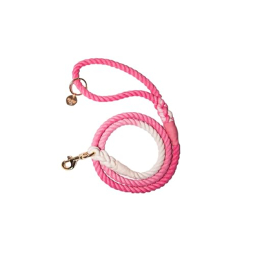 Glow Pups Stylish Pink and White Braided Dog Leash