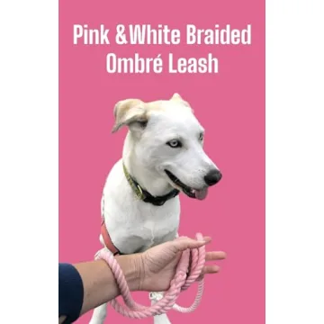 Glow Pups Stylish Pink and White Braided Dog Leash