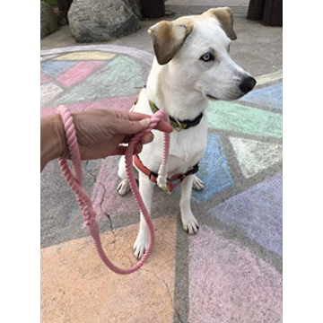 Glow Pups Stylish Pink and White Braided Dog Leash