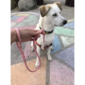 Glow Pups Stylish Pink and White Braided Dog Leash