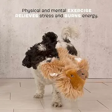 Barkbox Squeaky Dog Toys - Plush and Squeak Chew Toys | Puppy and Pet Toys for Small, Medium, and Large Dogs | Gordon The Giant Sloth