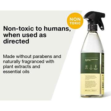 Lemon & Mint All Purpose Cleaner - 28 fl oz - Everspring™