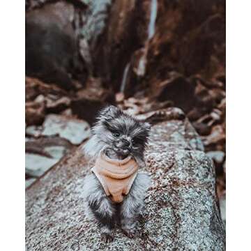 Gooby Stretch Fleece Vest Dog Sweater - Warm Pullover Fleece Dog Jacket - Winter Dog Clothes for Small Dogs, Large Dogs, Boy or Girl - Soft, Super Stretchy Fleece Vest Dog Sweater - Sand, Large