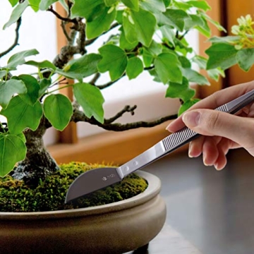 Wazakura Bonsai Tweezer with Spatula - Japanese Craftsmanship