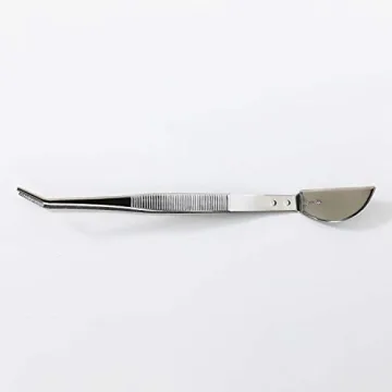 Wazakura Bonsai Tweezer with Spatula - Japanese Craftsmanship