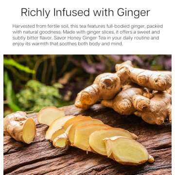 Damtuh Honey Ginger Tea - Natural Flavor & No Additives
