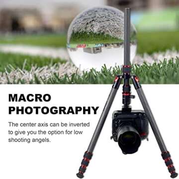 Lightweight Carbon Tripod & Monopod for Cameras