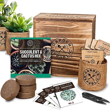 Cactus Succulent Seed Starter Kit - Indoor Garden Grow Kits, Seeds for Planting Mini Cactus Succulen...