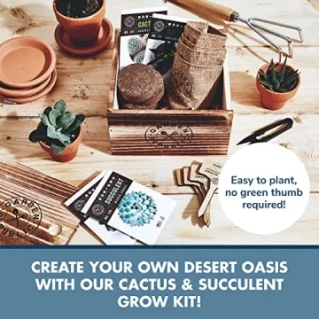 Cactus Succulent Seed Starter Kit for Indoor Gardening Fun