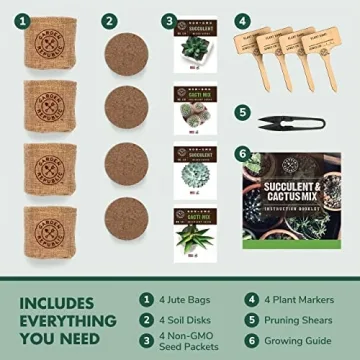 Cactus Succulent Seed Starter Kit for Indoor Gardening Fun