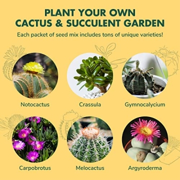 Cactus Succulent Seed Starter Kit for Indoor Gardening Fun