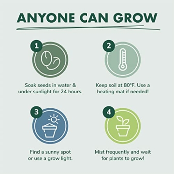 Cactus Succulent Seed Starter Kit for Indoor Gardening Fun