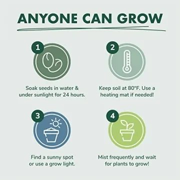 Cactus Succulent Seed Starter Kit for Indoor Gardening Fun