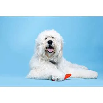 Chew 'n Clean Dental Duo Bacon Flavored Dental Dog Treat & Chew, Color Varies, Extra Large