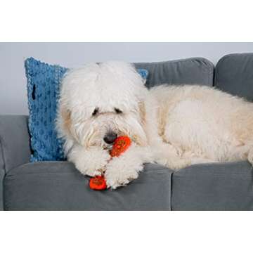 Chew 'n Clean Dental Duo Bacon Flavored Dental Dog Treat & Chew, Color Varies, Extra Large