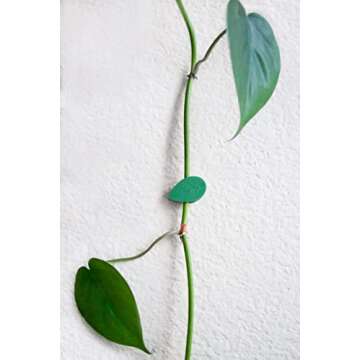 Urban Green Home Plant Clips with Pre-Applied Adhesive Pads for Climbing and Hanging Plants to Walls Invisible Leaf Design 20 Count