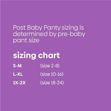 Post Baby High Waist Postpartum Underwear and Post Baby Shaper Small/Medium Black