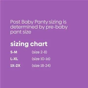 Post Baby High Waist Postpartum Underwear and Post Baby Shaper Small/Medium Black