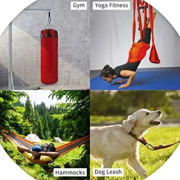 Heavy Duty Carabiner Clip, 4 Pack for Outdoors & Gym