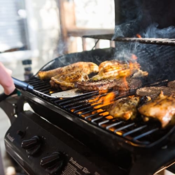 Coleman Propane Replacement Fuel Cylinders for Camping