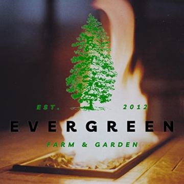 Coleman Propane Replacement Fuel Cylinders for Camping