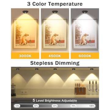 WILLED Picture Lights for Wall, 1200mAh Rechargeable Battery Operated Picture Frame lights, Puck Lights with Remote, Dimmable & Timer Art Lighting for Paintings Wireless, Magnetic Gallery Light/3 Pack
