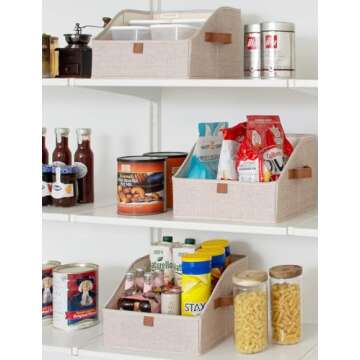 StorageWorks Closet Organizer Bins for Stylish Storage Solutions