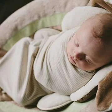 embé 2-Way Starter Baby Swaddle, 6-14 lbs, Newborn Swaddle Sack 0-3 Months, Zip & Velcro Swaddle 0-3 Months Baby Swaddles Wrap, Hip Healthy, Infant Swaddle - Organic Oatmeal Stripe