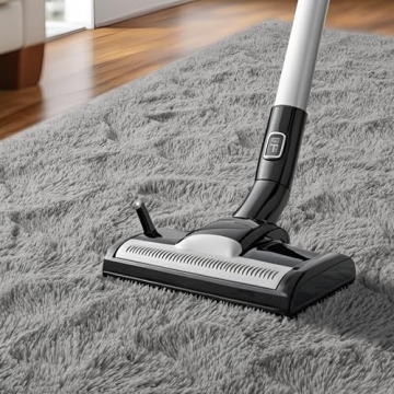 HQAYW Fluffy 6x9 Feet Area Rug - Soft Shaggy Carpet