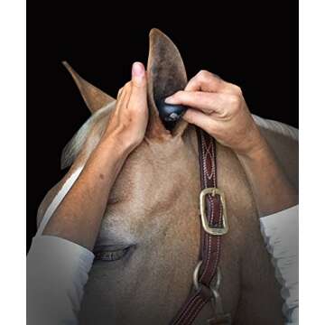 Plughz Horse Ear Plugs, Pony Size, Black, Smooth 2 Boxes 4 Pairs