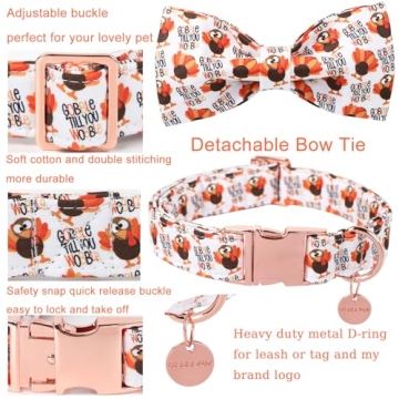 Thanksgiving Dog Collar & Bow Tie for Pets - UP URARA PUP