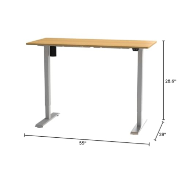 FLEXISPOT EN1 Electric Standing Desk - Adjustable Height