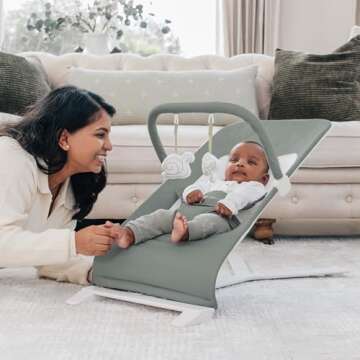 Baby Delight Alpine Deluxe Portable Baby Bouncer | Infant | 0-6 Months | 100% GOTS Certified Organic...