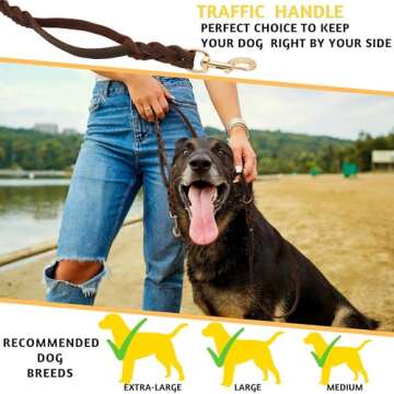 ADITYNA Premium Leather Dog Leash 6ft - Double Handle