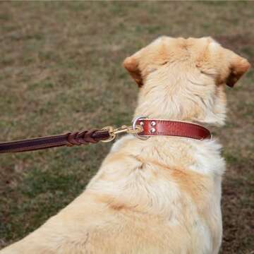 ADITYNA Premium Leather Dog Leash 6ft - Double Handle