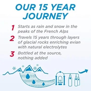 Evian Natural Spring Water 1L Bottle 12 Pack