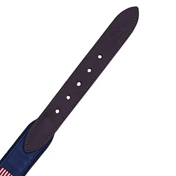 Vineyard Vines Boys American Flag Canvas Club Belt