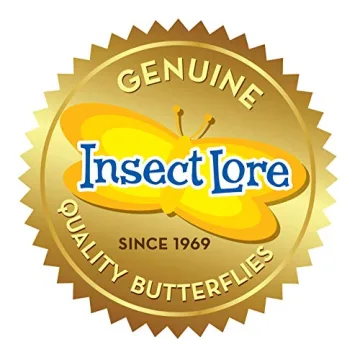 Insect Lore Giant Butterfly Garden Experience | Live Caterpillars and More