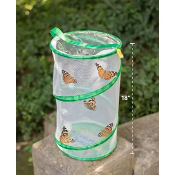 Insect Lore Giant Butterfly Garden Experience | Live Caterpillars and More