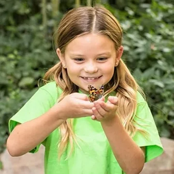 Insect Lore Giant Butterfly Garden Experience | Live Caterpillars and More