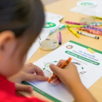 Insect Lore Giant Butterfly Garden Experience | Live Caterpillars and More