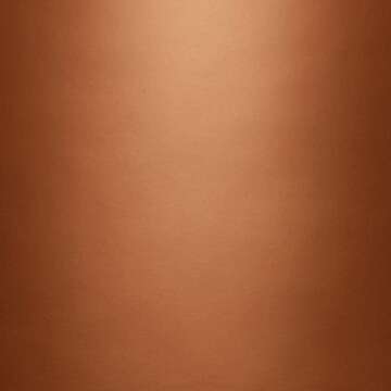 12 oz Krylon 2203 General Purpose Metallic Copper Spray Paint