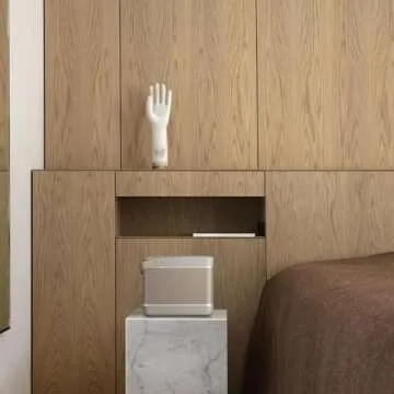 Bang & Olufsen Beolit 20 Powerful Portable Wireless Speaker