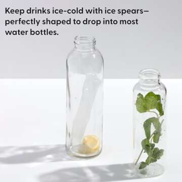 W&P Peak Silicone Water Bottle Ice Tray w/ Protective Lid | Charcoal| Easy to Remove Ice | Food Grad...