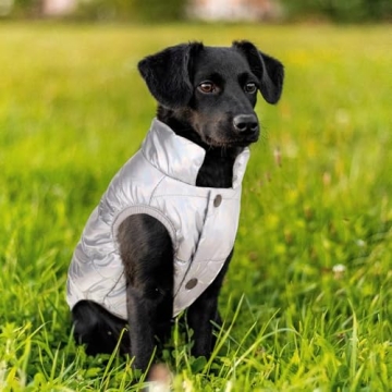 ASENKU Waterproof Winter Coat for Dogs - Windproof & Warm