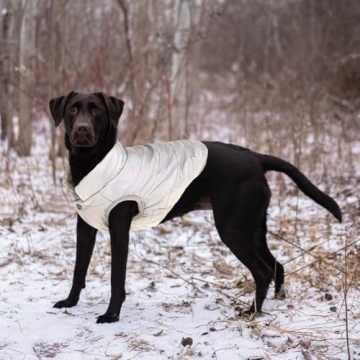 ASENKU Waterproof Winter Coat for Dogs - Windproof & Warm