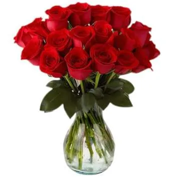 18 Gorgeous Red Roses in Stunning Glass Vase