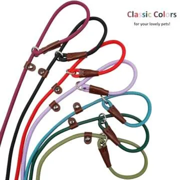 BTINESFUL 7ft Slip Lead Dog Leash, Strong Nylon Rope Leash, 1/4 & 1/2 inch Diam Dog Training Lead for Small Medium Large Dogs (1/4" * 7 FT, Black)