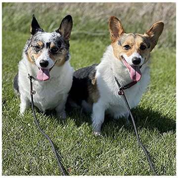 BTINESFUL 7ft Slip Lead Dog Leash, Strong Nylon Rope Leash, 1/4 & 1/2 inch Diam Dog Training Lead for Small Medium Large Dogs (1/4" * 7 FT, Black)